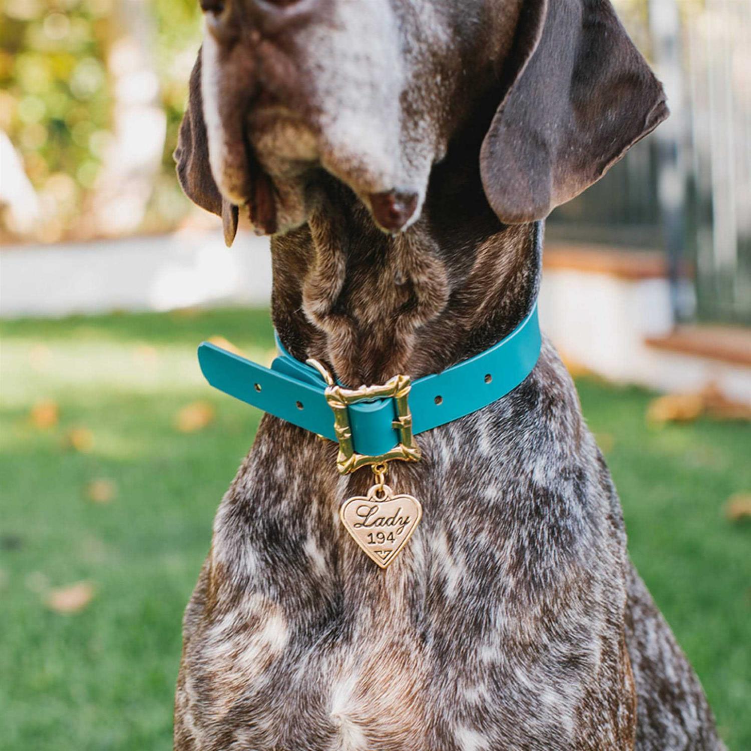 Alternative view of Buckle-Down Disney Lady and the Tramp Movie Replica with Heart Charm Dog Collar