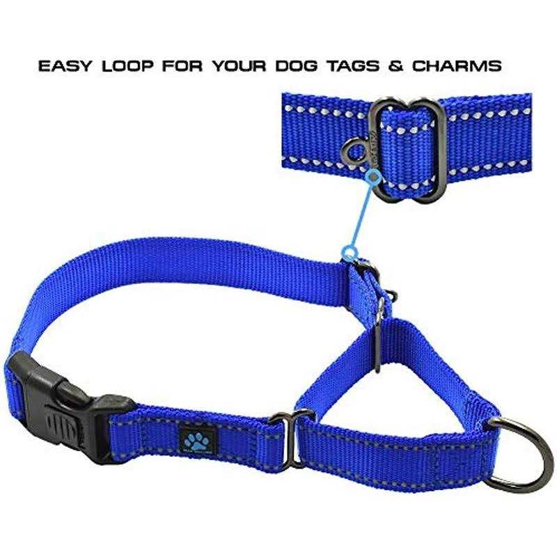 Alternative view of Max and Neo Nylon Martingale Collar We Donate a Collar to a Dog Rescue for Every Collar Sold