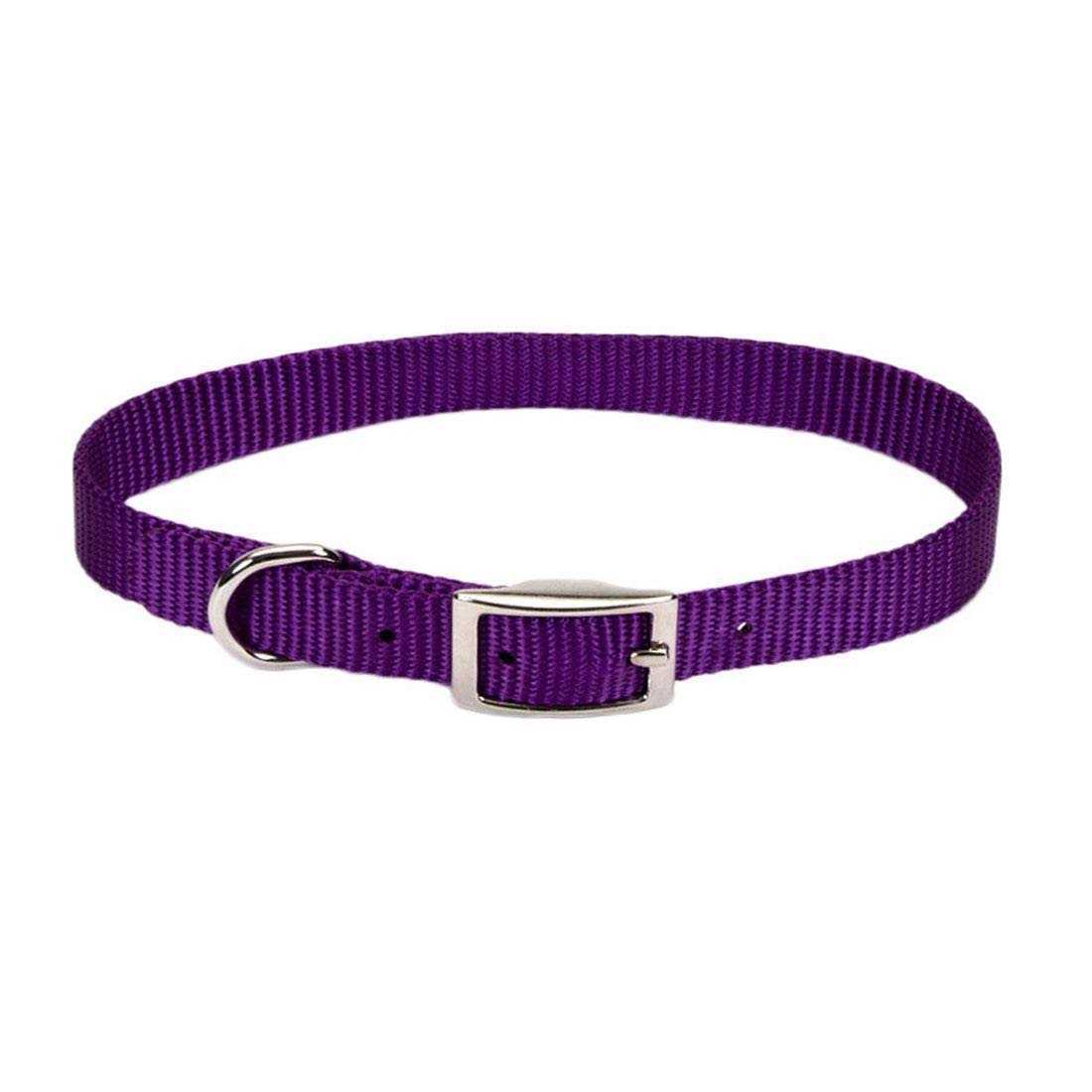 Alternative view of Coastal Nylon Pet Collar
