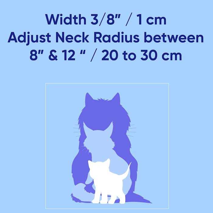 Alternative view of Pawtitas Cat Collar with Safety Buckle and Removable Bell Cat Collar Kitten Collar