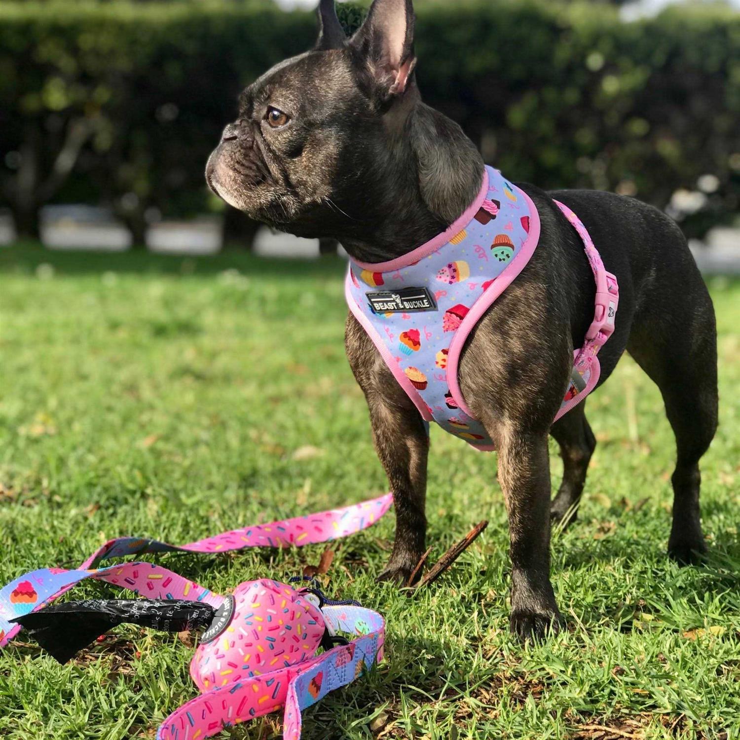 Alternative view of Beast & Buckle Reversible Dog Harness
