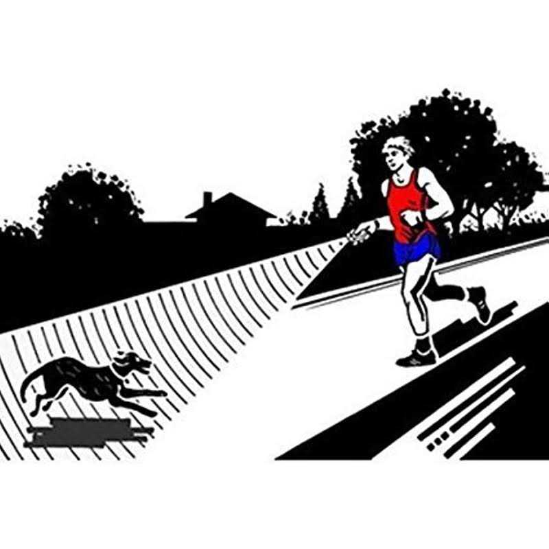 Alternative view of QZC Super Ultrasonic Dog Chaser,Training Dog Banish Dog Machine,Stop Animals Attacks Aggression