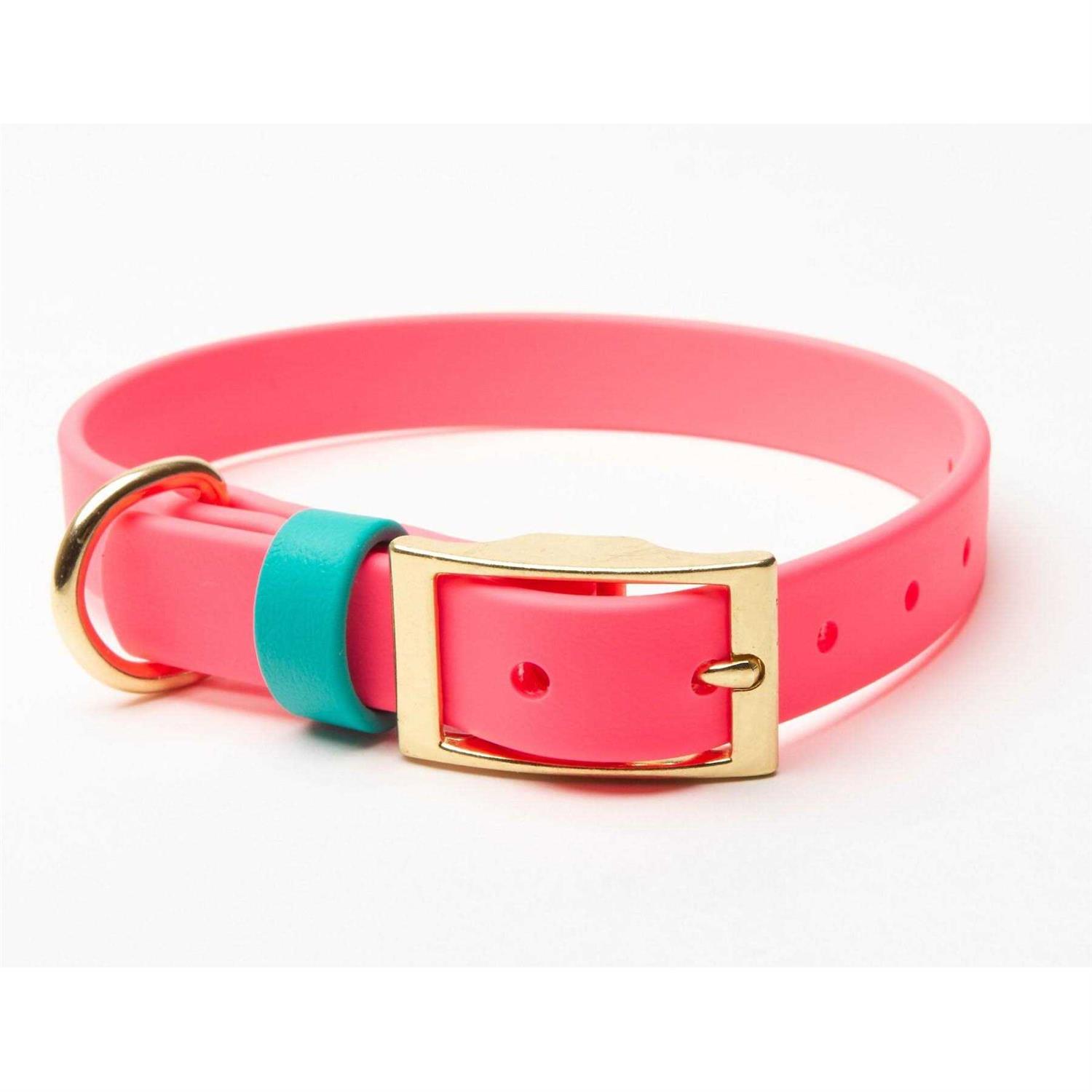 Pawfurever's Waterproof & Odorless Dog Collar