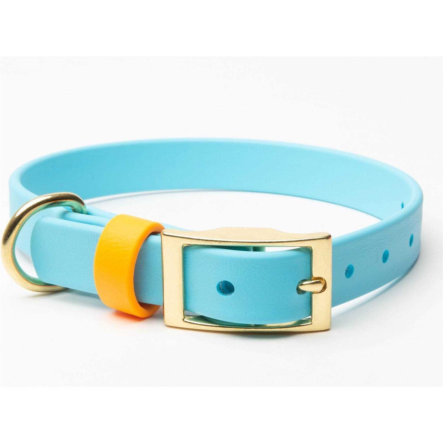 Pawfurever's Waterproof & Odorless Dog Collar