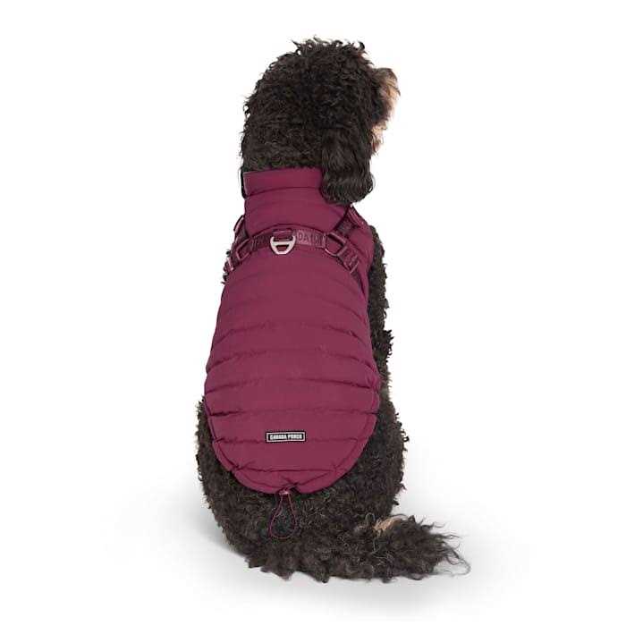 Canada Pooch Harness Puffer Black