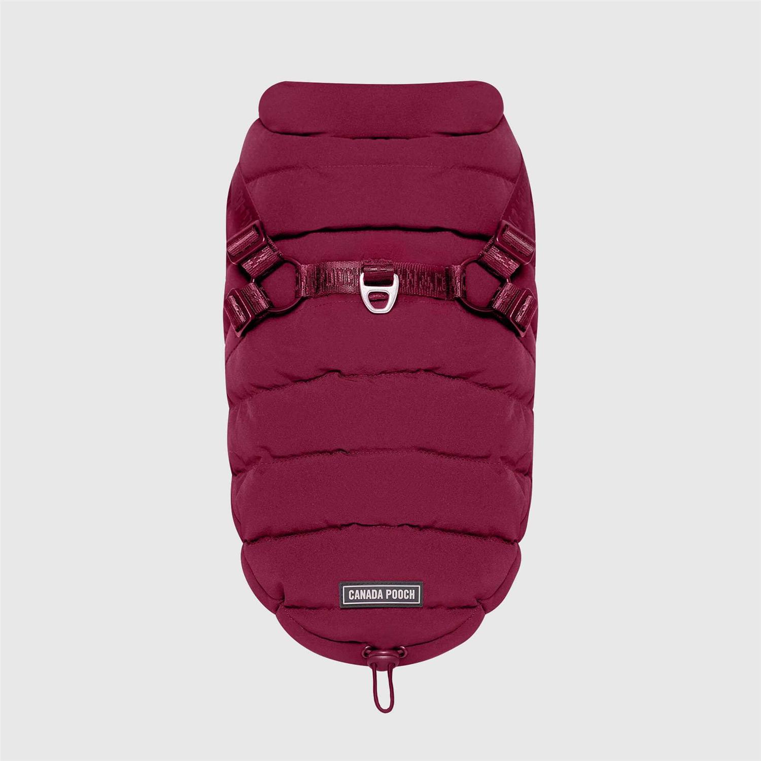 Alternative view of Canada Pooch Harness Puffer Black