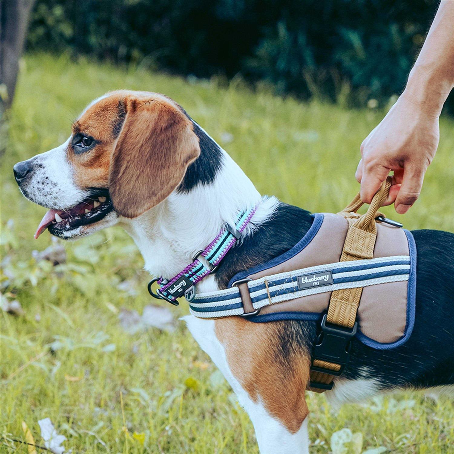 Alternative view of Blueberry Pet 3M Reflective Multi-Colored Stripe and Dog Collar