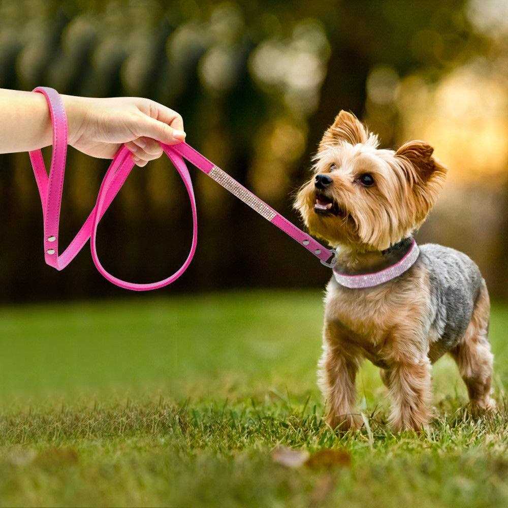 Alternative view of Haoyueer Rhinestone Dog Collar Cute Dazzling Sparkling Soft Suede Leather Dog Cat Rhinestone Collar Crystal Diamond Pet Dog Puppy