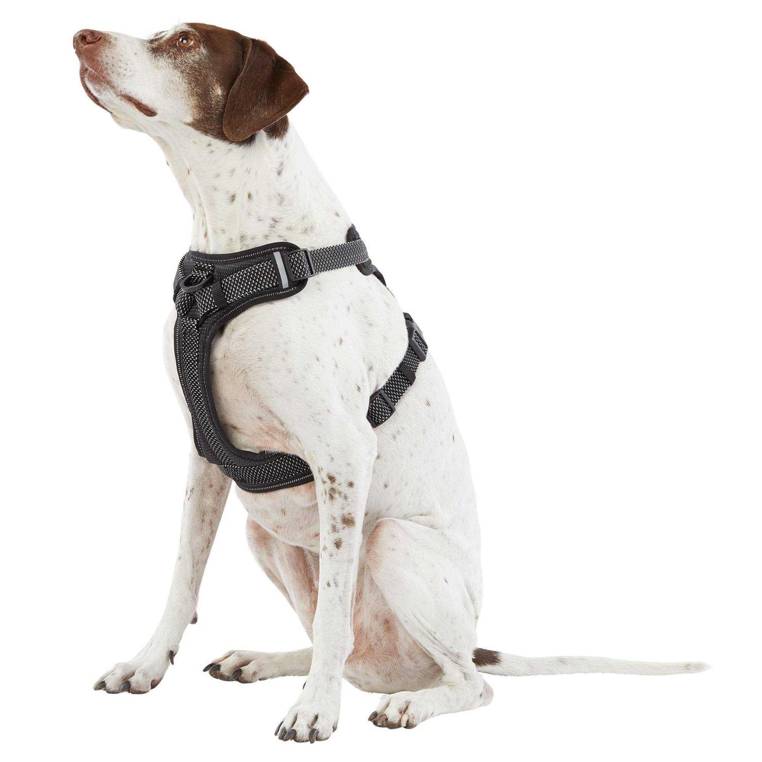 Top Paw Ultra-Reflective Dog Harness