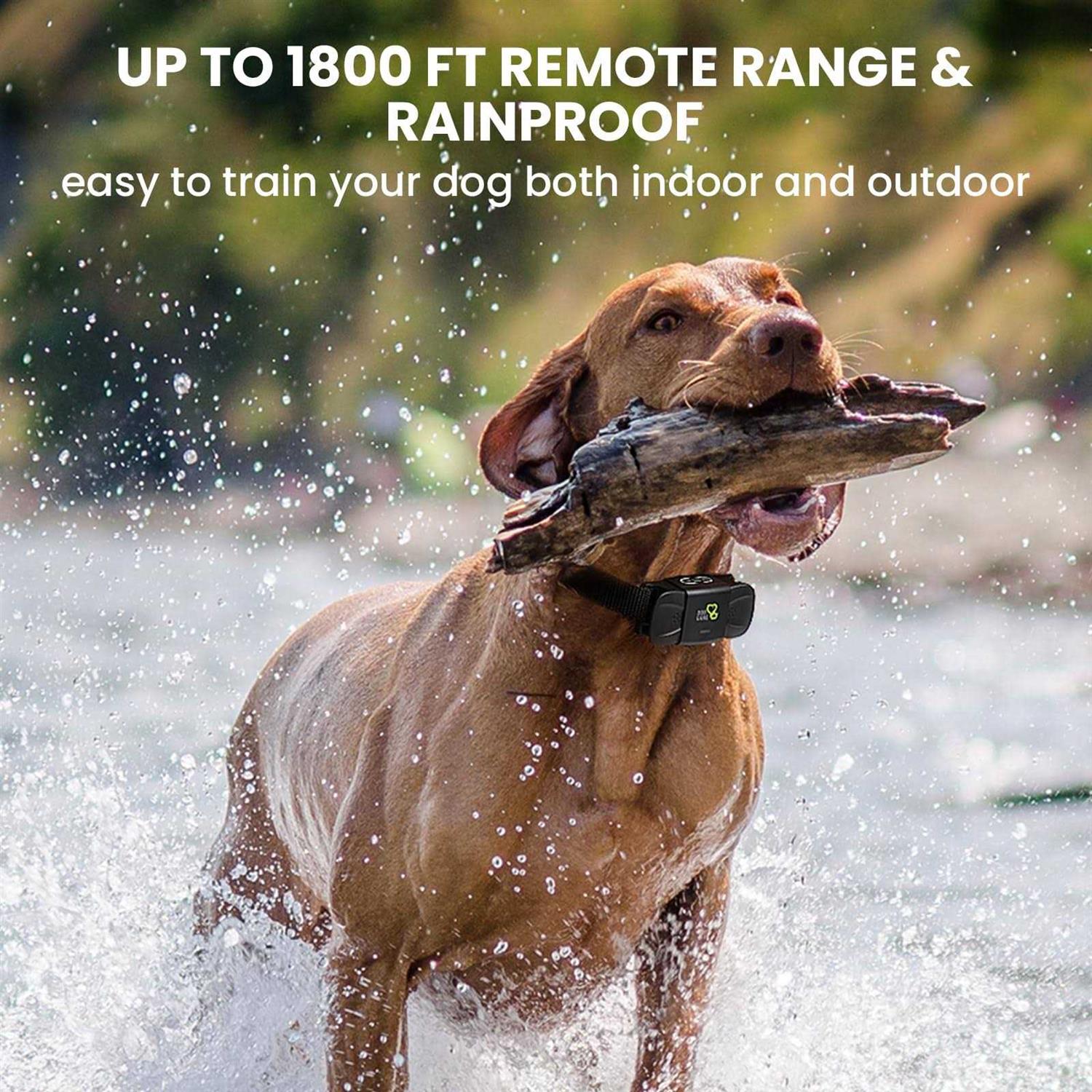 Alternative view of Dog CARE Dog Training Collar Shock Collar with Beep Vibration