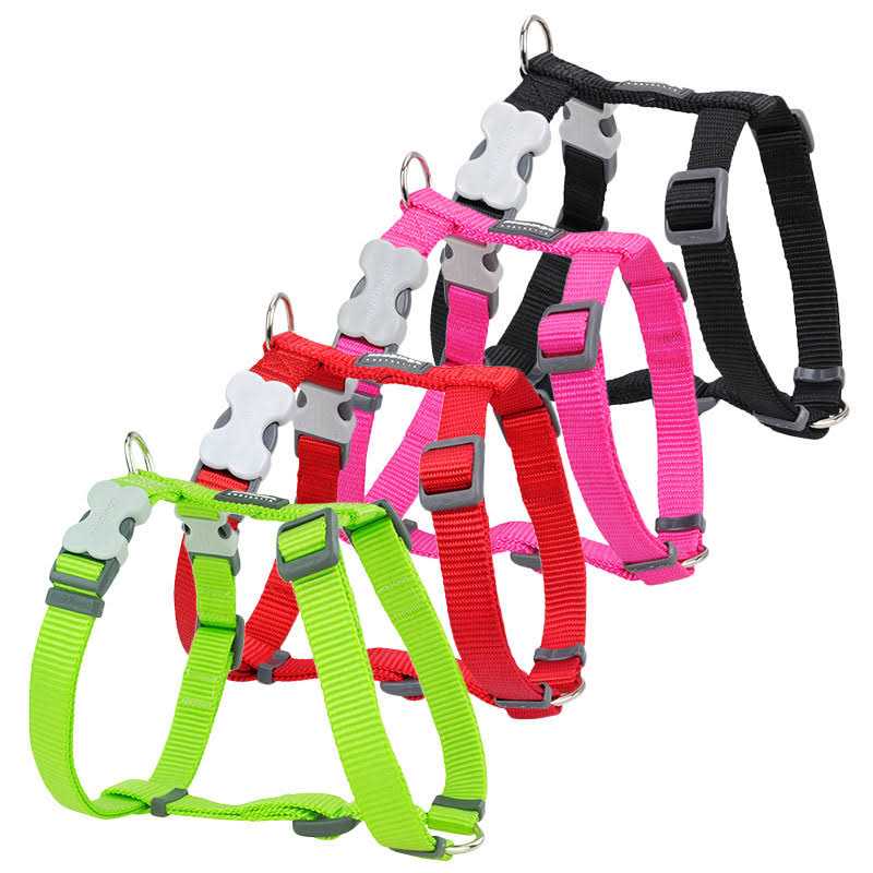 Alternative view of Red Dingo Dog Harness