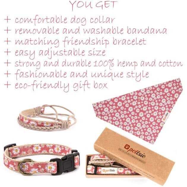 Alternative view of Pettsie Matching Dog Collar, Bandana and Owner Friendship Bracelet Gift Box Included