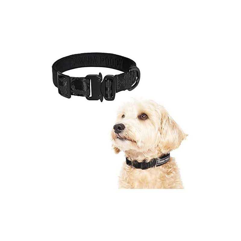 Alternative view of Canada Pooch Utility Dog Collar
