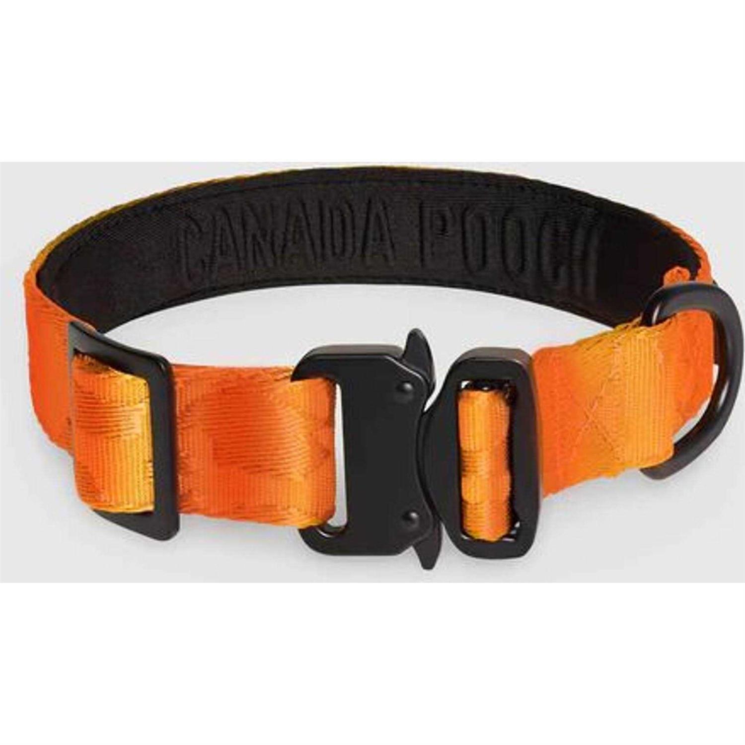 Alternative view of Canada Pooch Utility Dog Collar