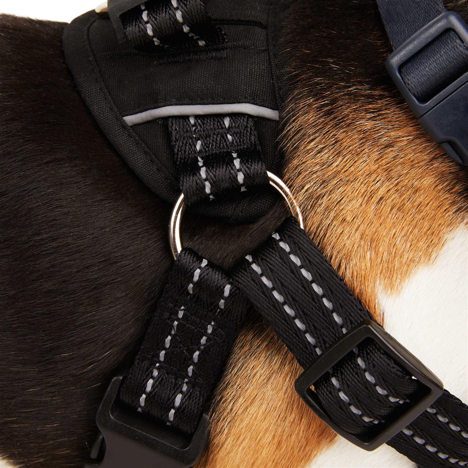 Alternative view of EveryYay Easy On Training Dog Harness