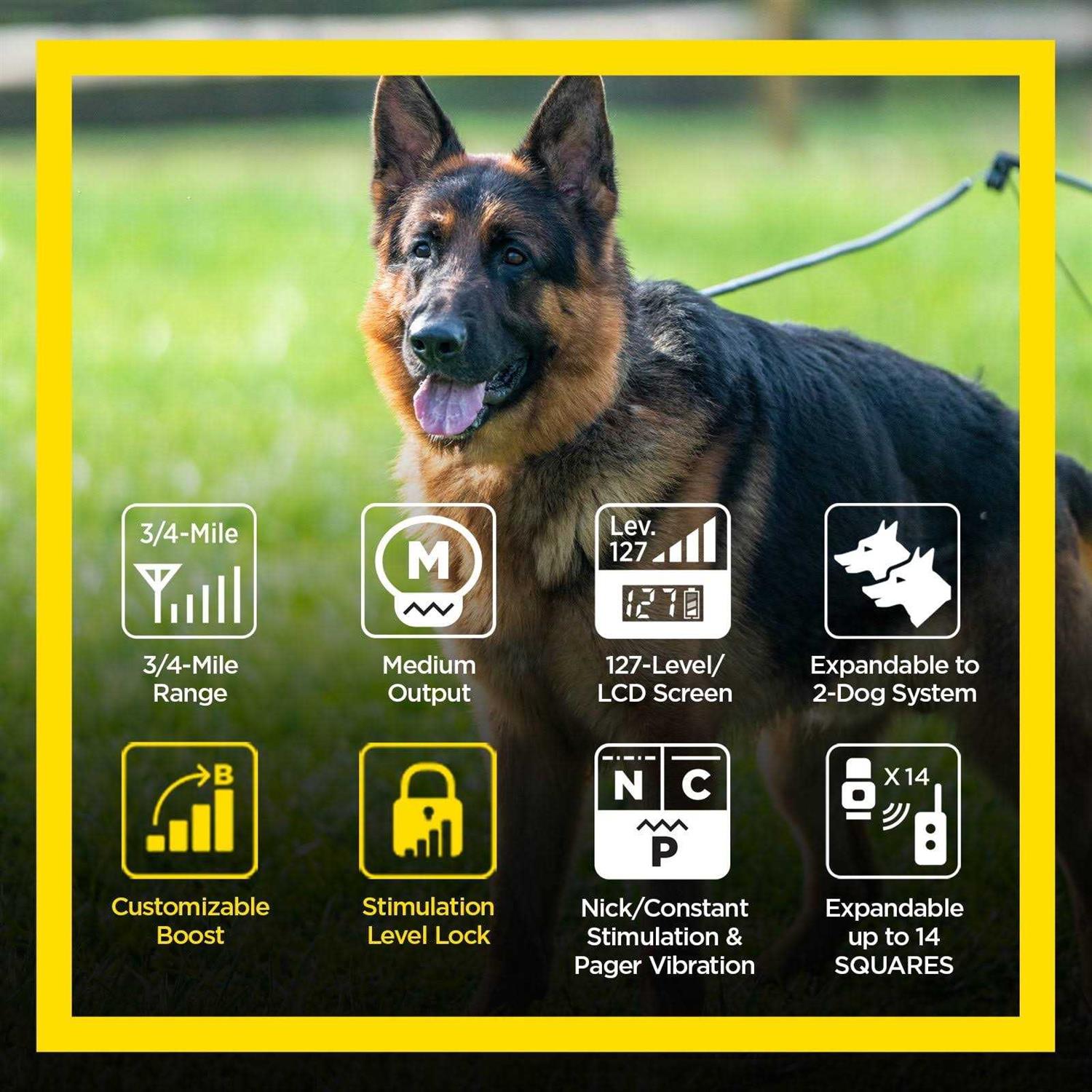 Alternative view of Dogtra ARC Handsfree Plus Boost & Lock