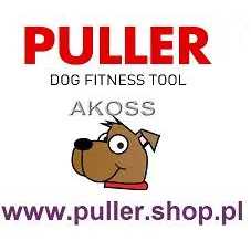 Alternative view of Waterproof Dog Collar with QR passport