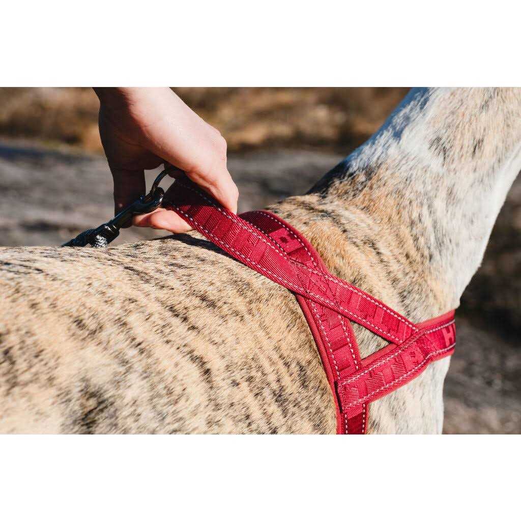 Alternative view of Hurtta Casual Padded Dog Y Harness
