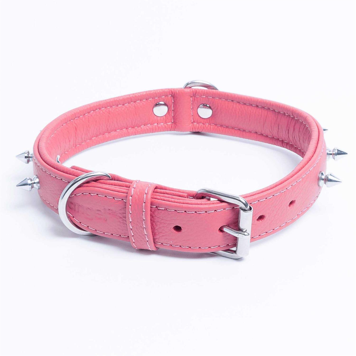 Alternative view of Rotterdam Dog Collar Spiked