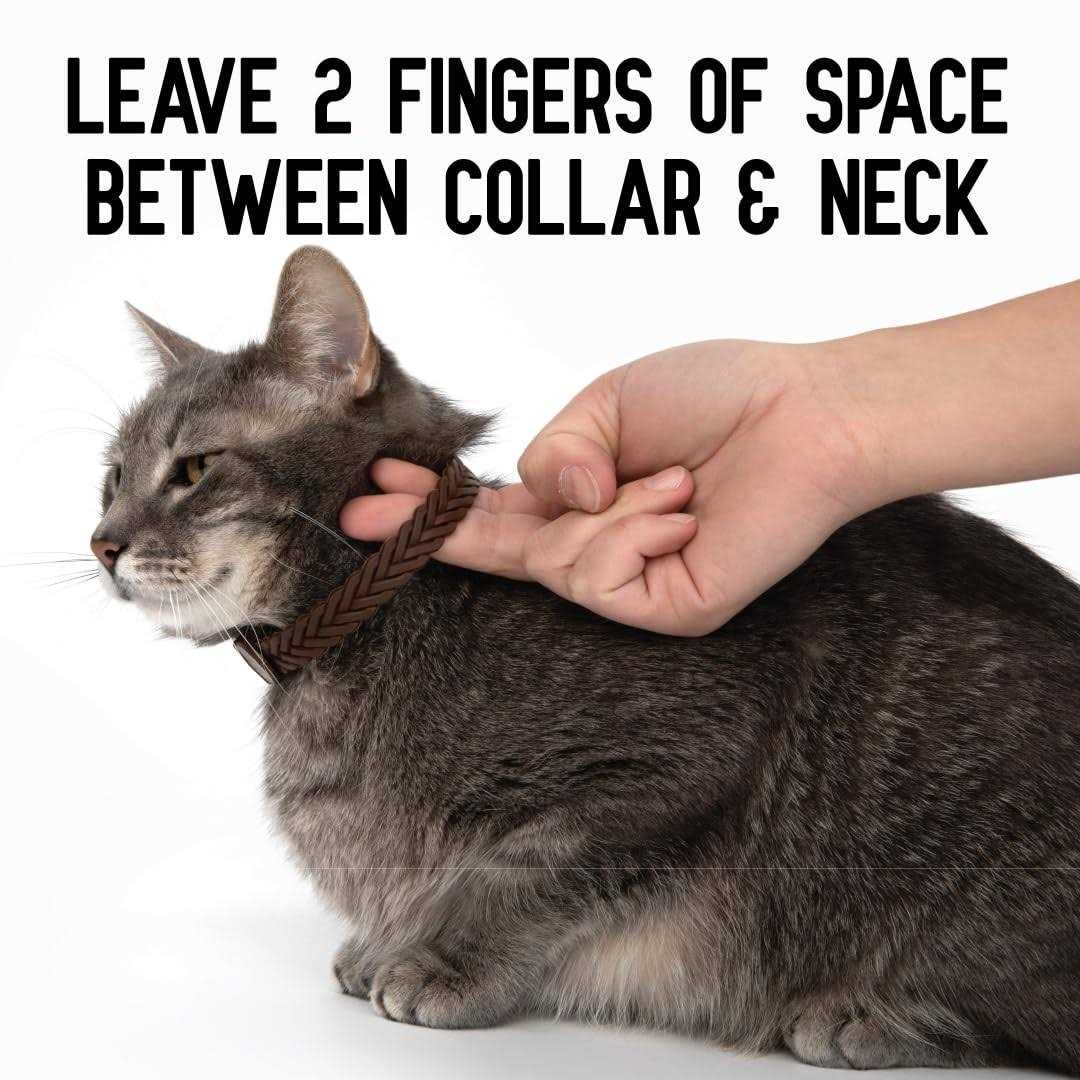 Alternative view of ActivPhy Hip + Joint Mobility Collar for Cats
