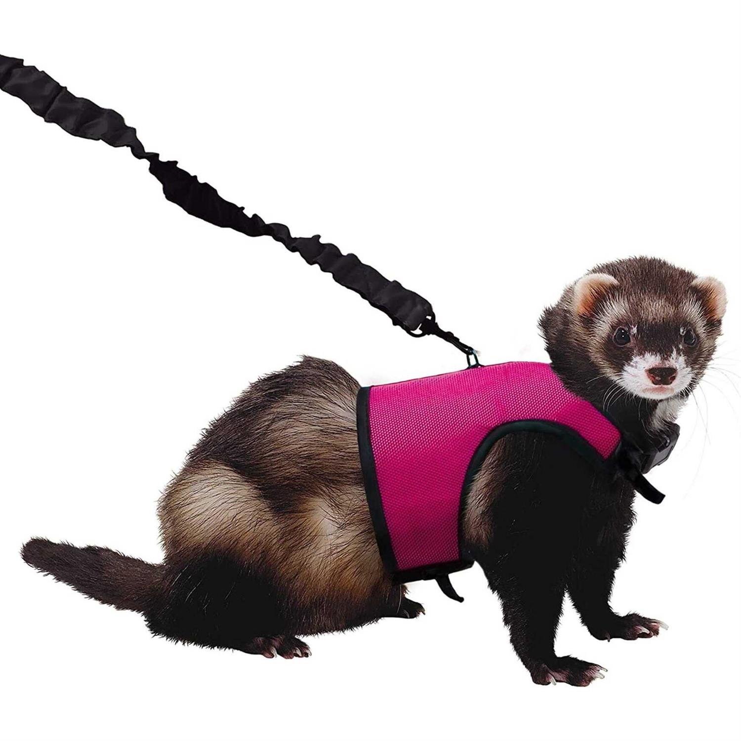 Alternative view of Kaytee Comfort Harness Stretchy Leash