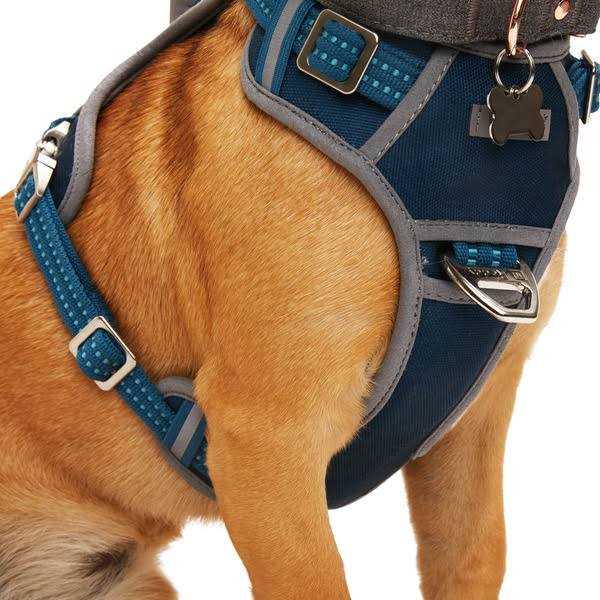 Alternative view of Reddy Navy Dog Harness