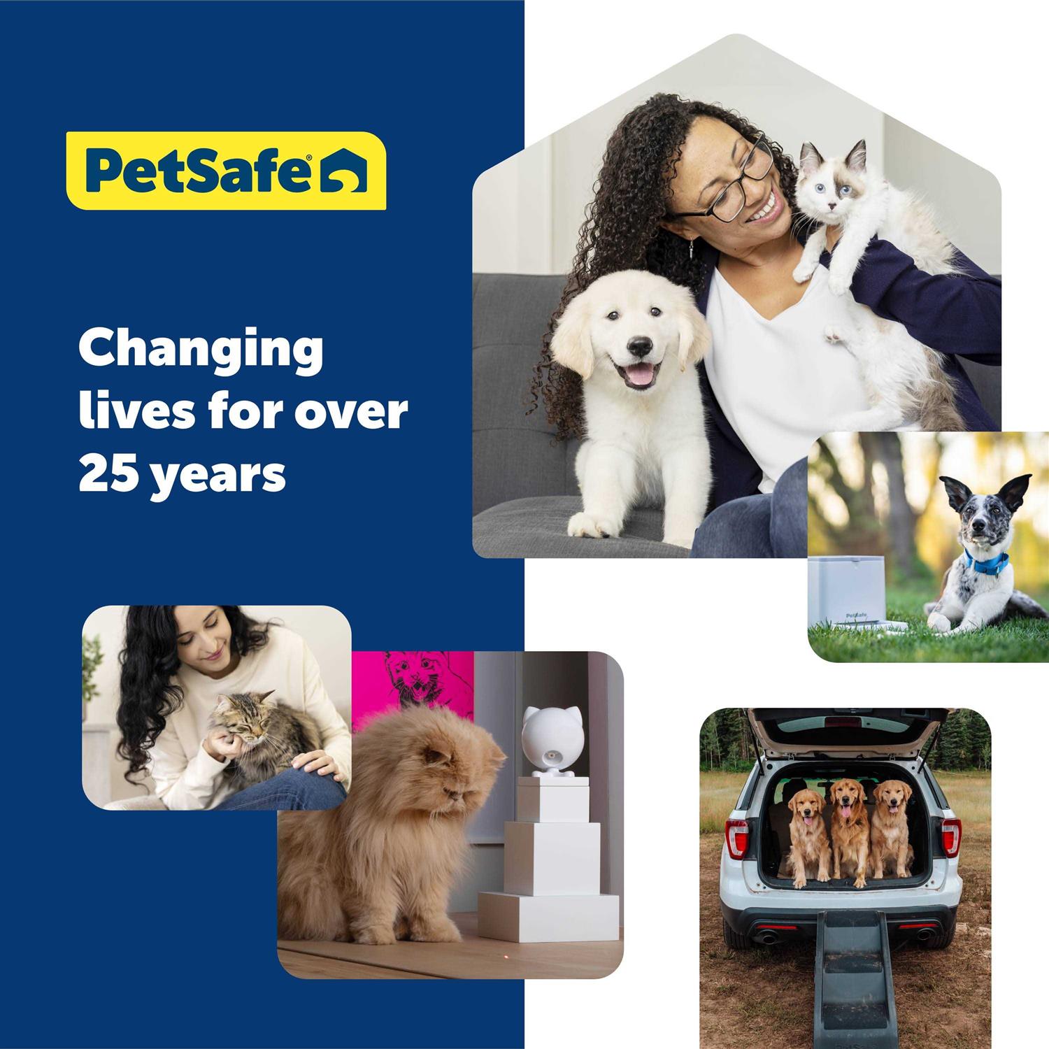 Alternative view of PetSafe 1 Inch Replacement Collar Strap with 2 holes