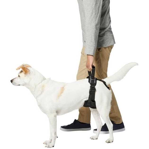 Alternative view of Frisco Rear Lift Handicapped Support Dog Harness