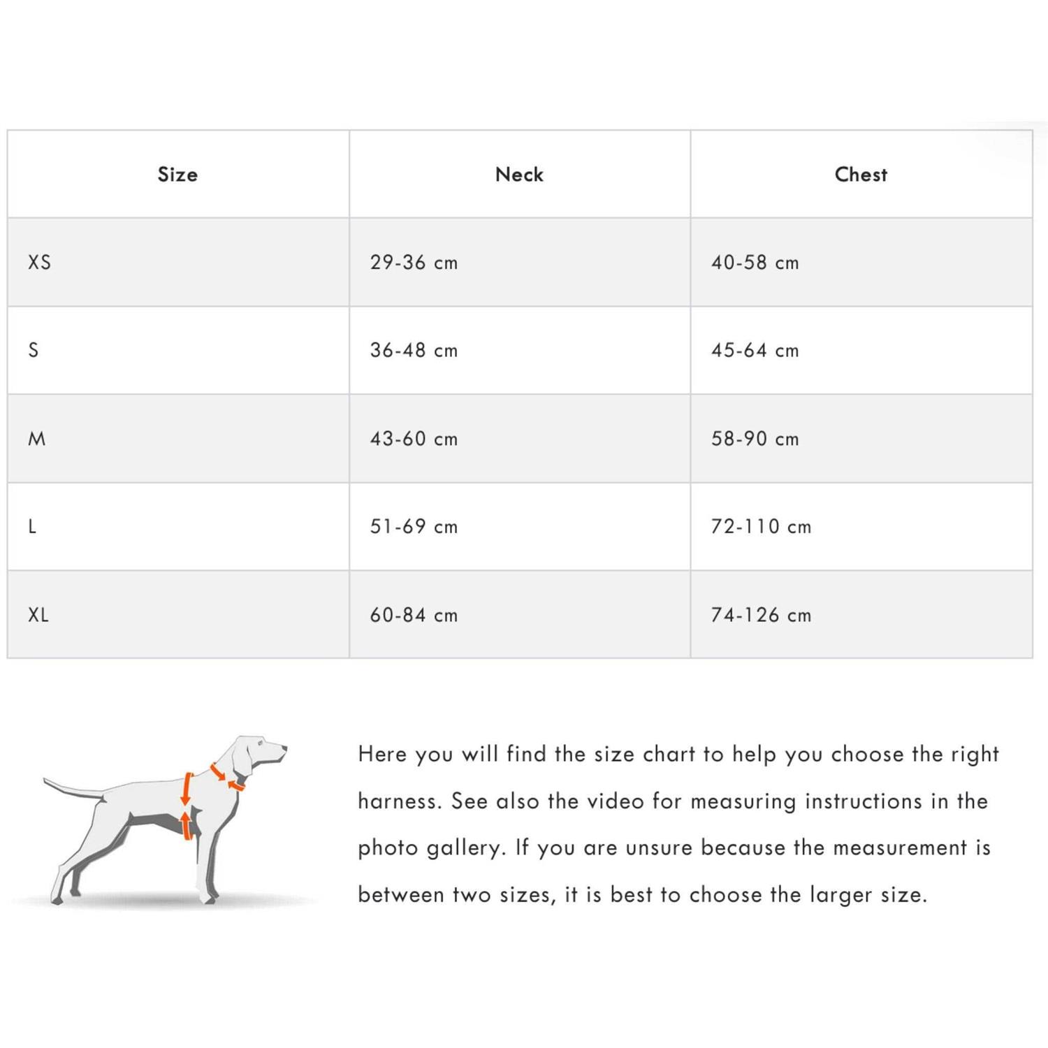 Alternative view of Non-stop Dogwear Ramble Harness