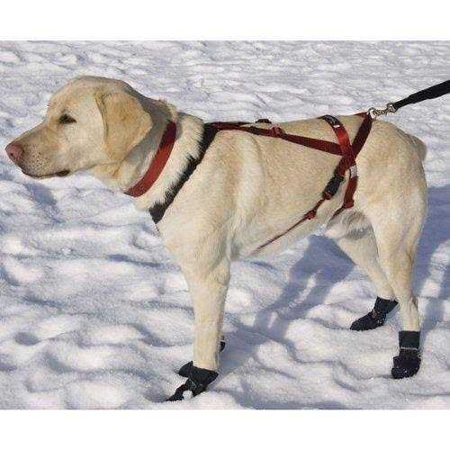 Alternative view of Ultra Paws One Harness