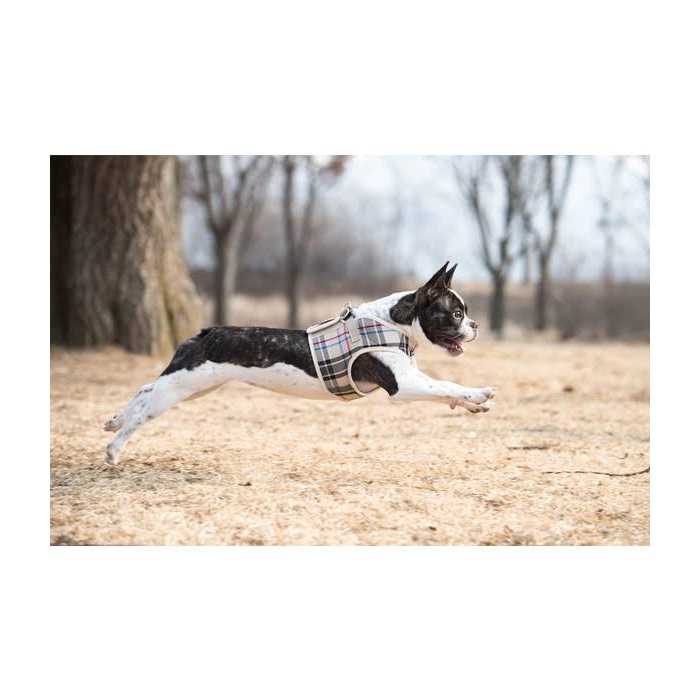 Alternative view of Puppia Junior Harness B
