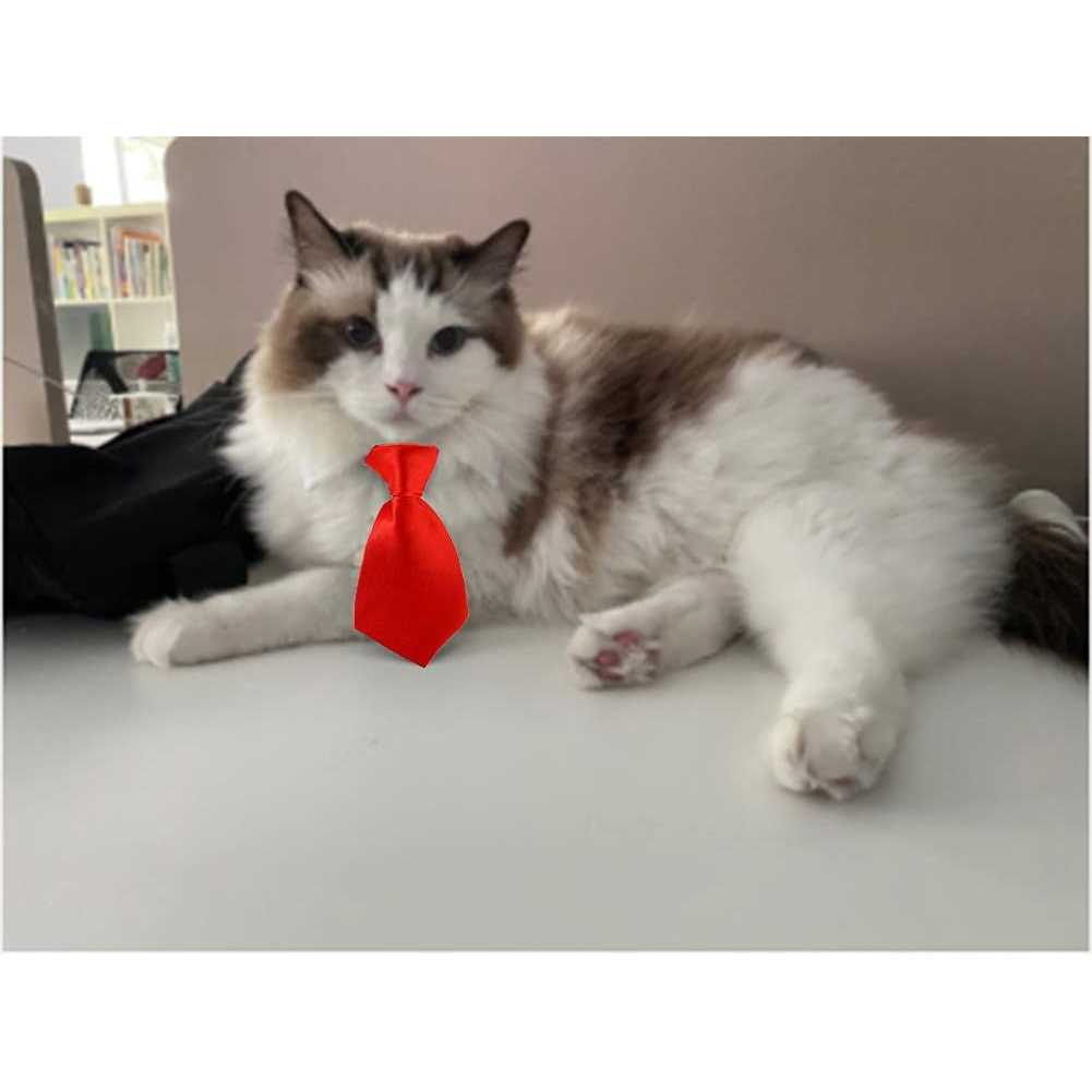 Alternative view of 4 Pieces Pets Dog Cat Bowtie Pet Costume Adjustable Formal Necktie Collar for Cats Small Dogs Puppy Grooming Accessories
