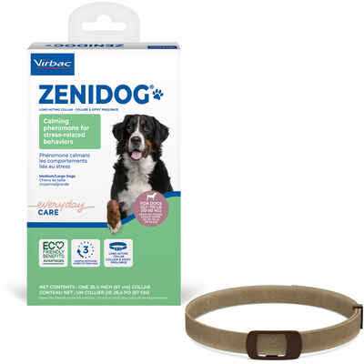 Zenidog Long-acting Collar Medium/large