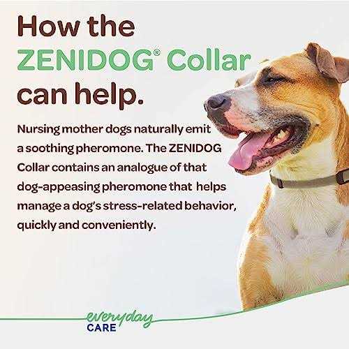 Alternative view of Zenidog Long-acting Collar Medium/large