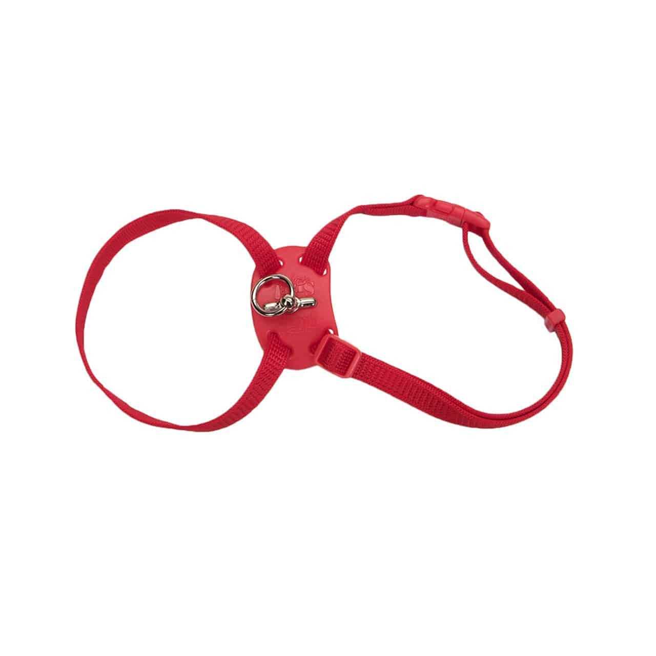 Coastal Pet Size Right Adjustable Cat Harness
