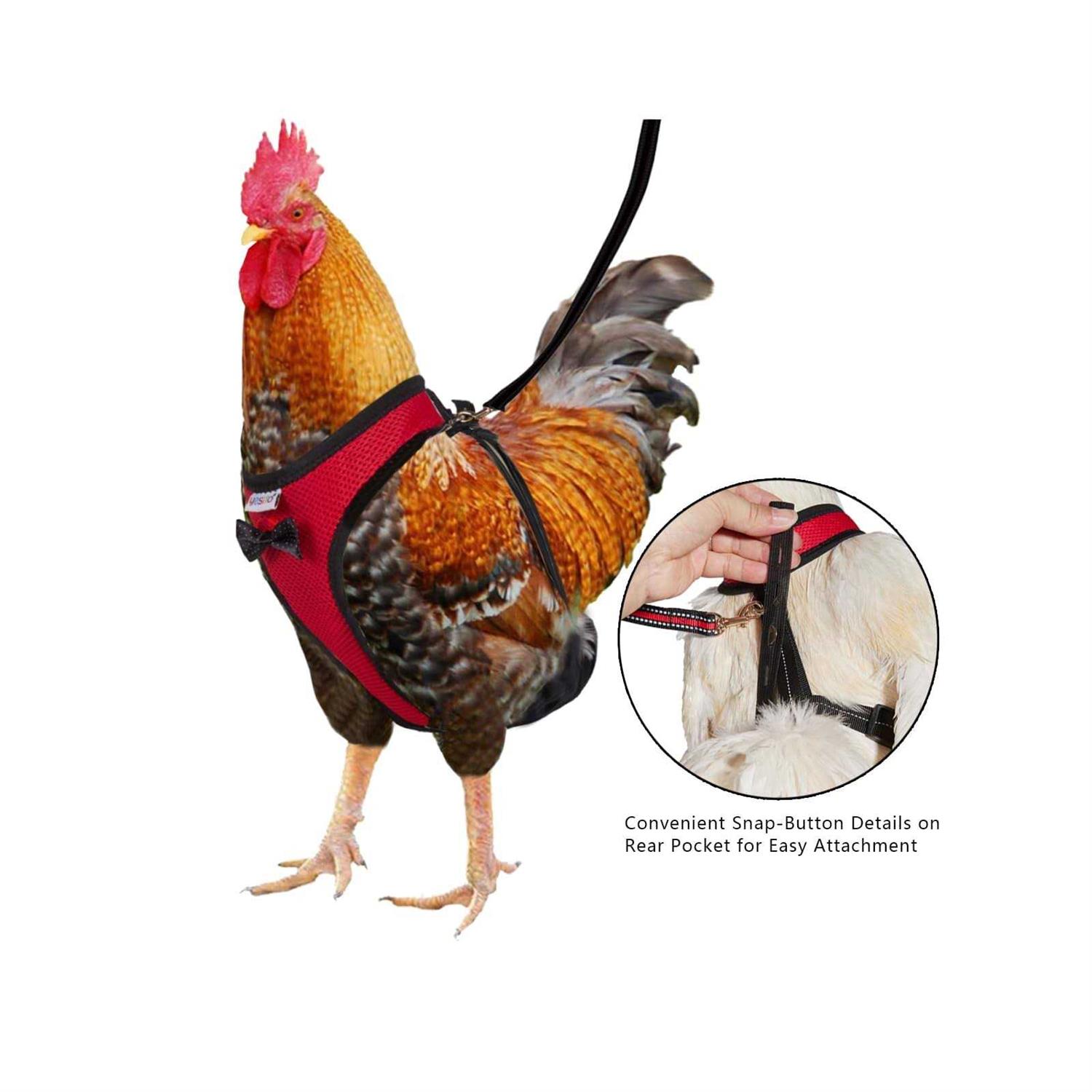 Alternative view of Yesito Chicken Harness Hen Size with 6ft Matching Leash