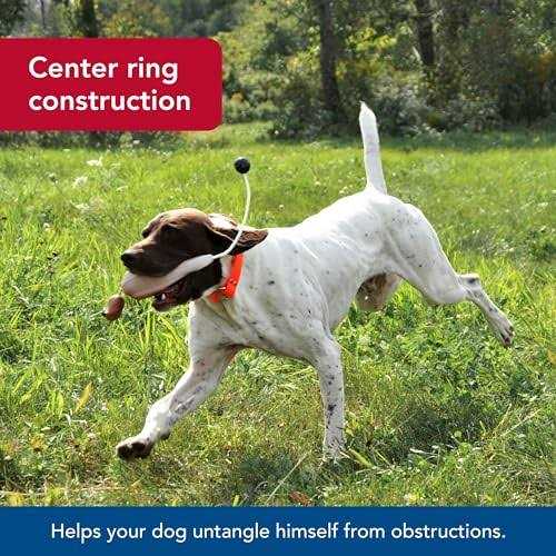 Alternative view of Water & Woods Waterproof Dog Collar