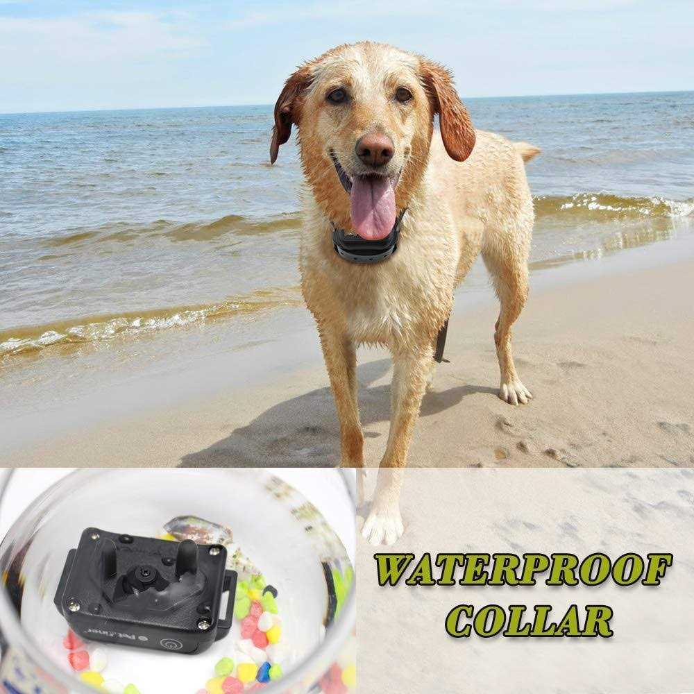Alternative view of Petrainer Upgraded Model Rechargeable & Waterproof Remote Dog Training Collar 330 yd Electric Dog Bark Collar with Beep/Vibration/Shock Collar