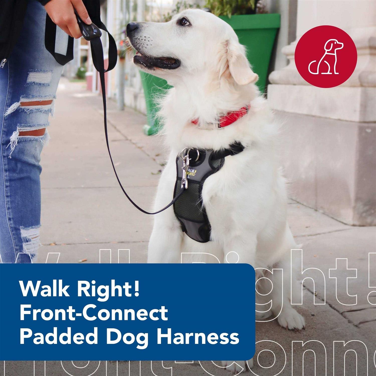 Alternative view of Coastal Pet Walk Right Padded Harness