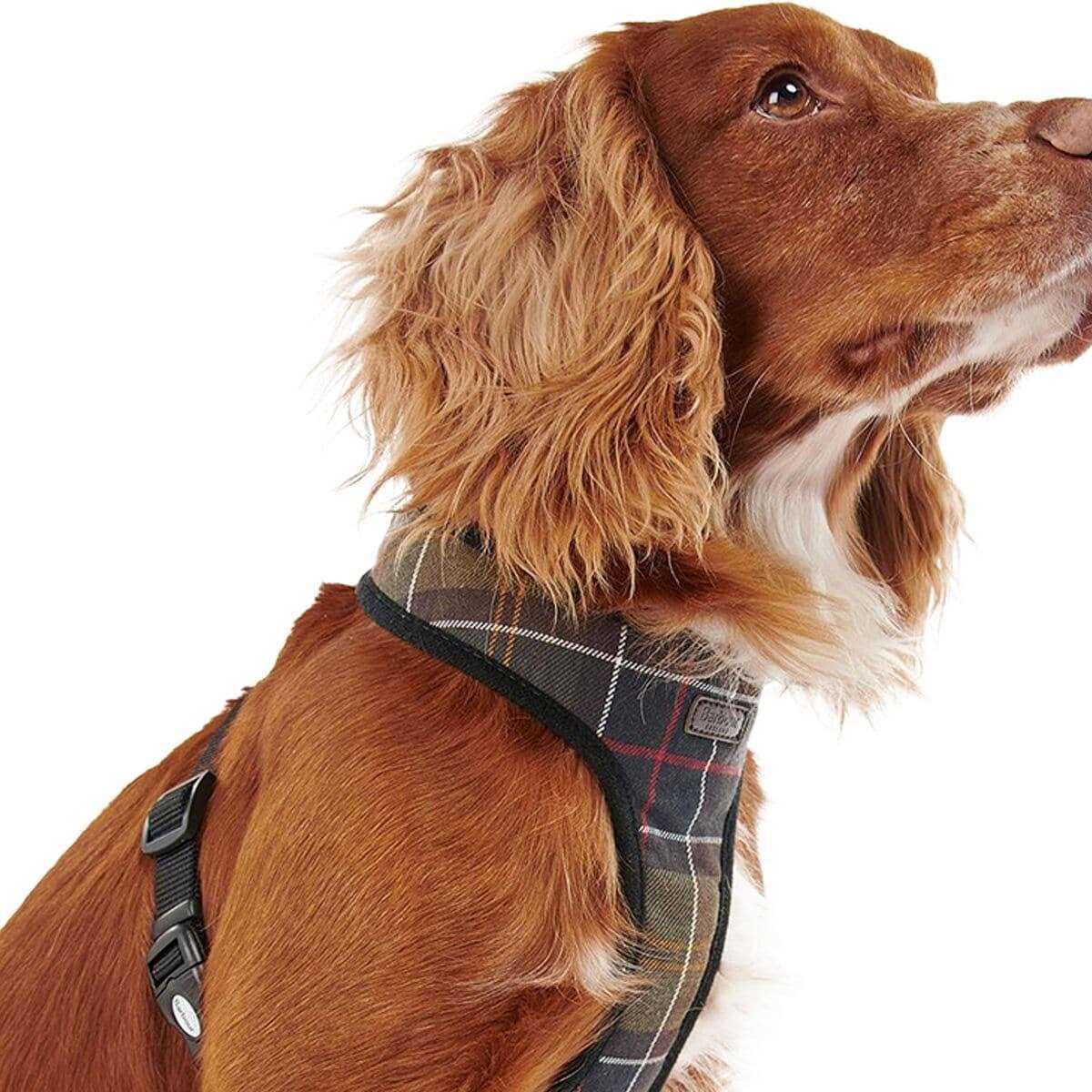 Alternative view of Barbour Tartan Dog Harness