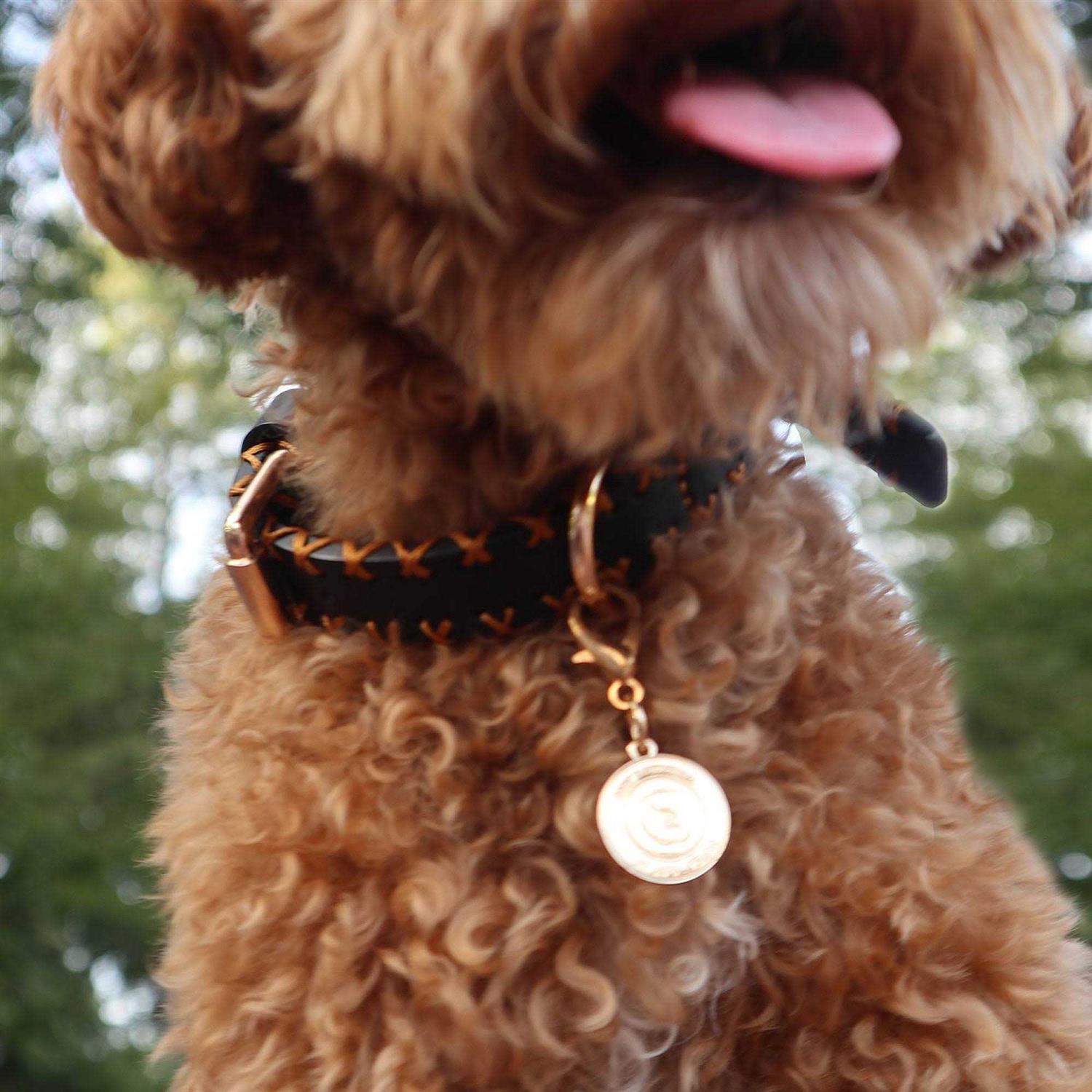 Alternative view of Scotch & Co Handcrafted Standard Dog Collar