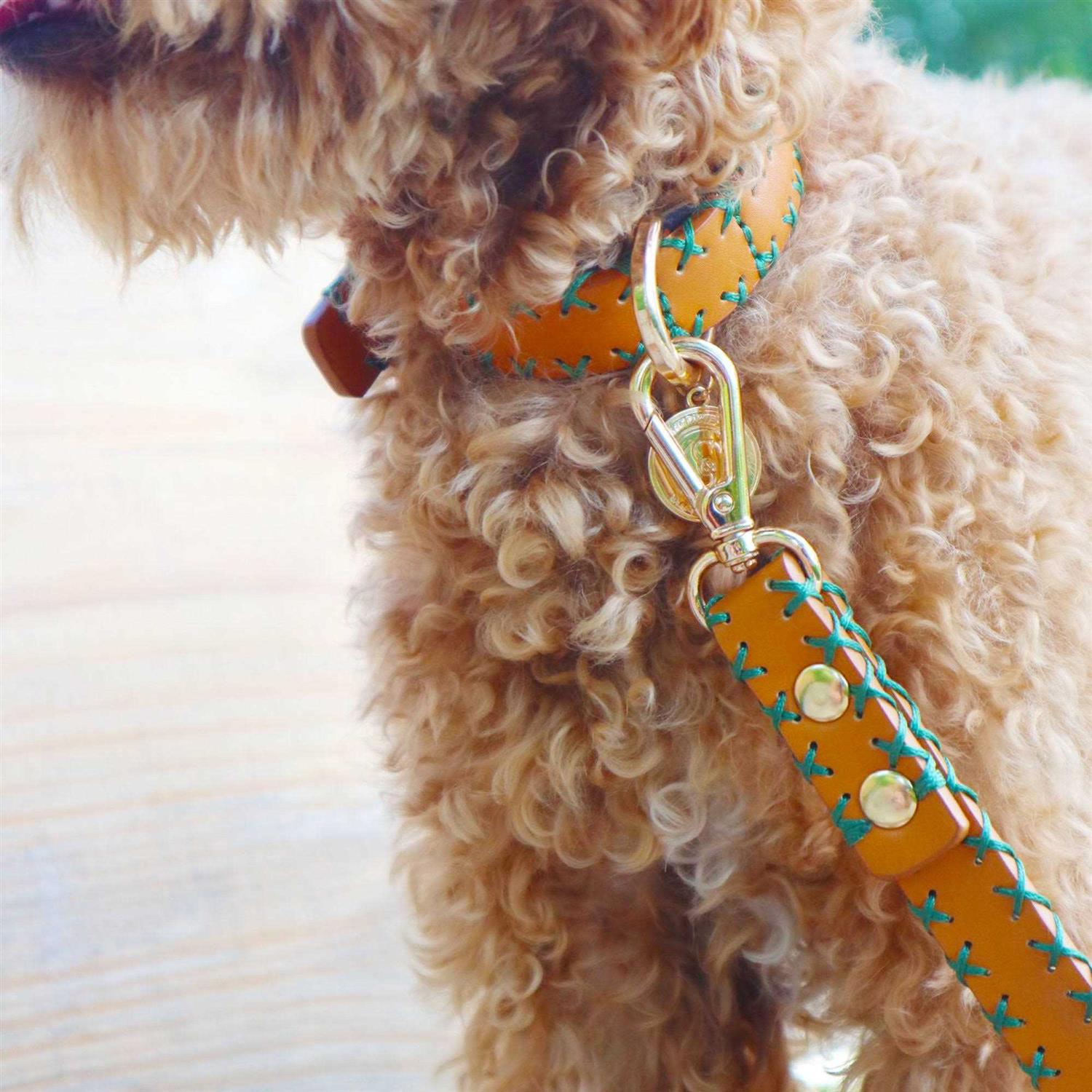 Scotch & Co Handcrafted Standard Dog Collar