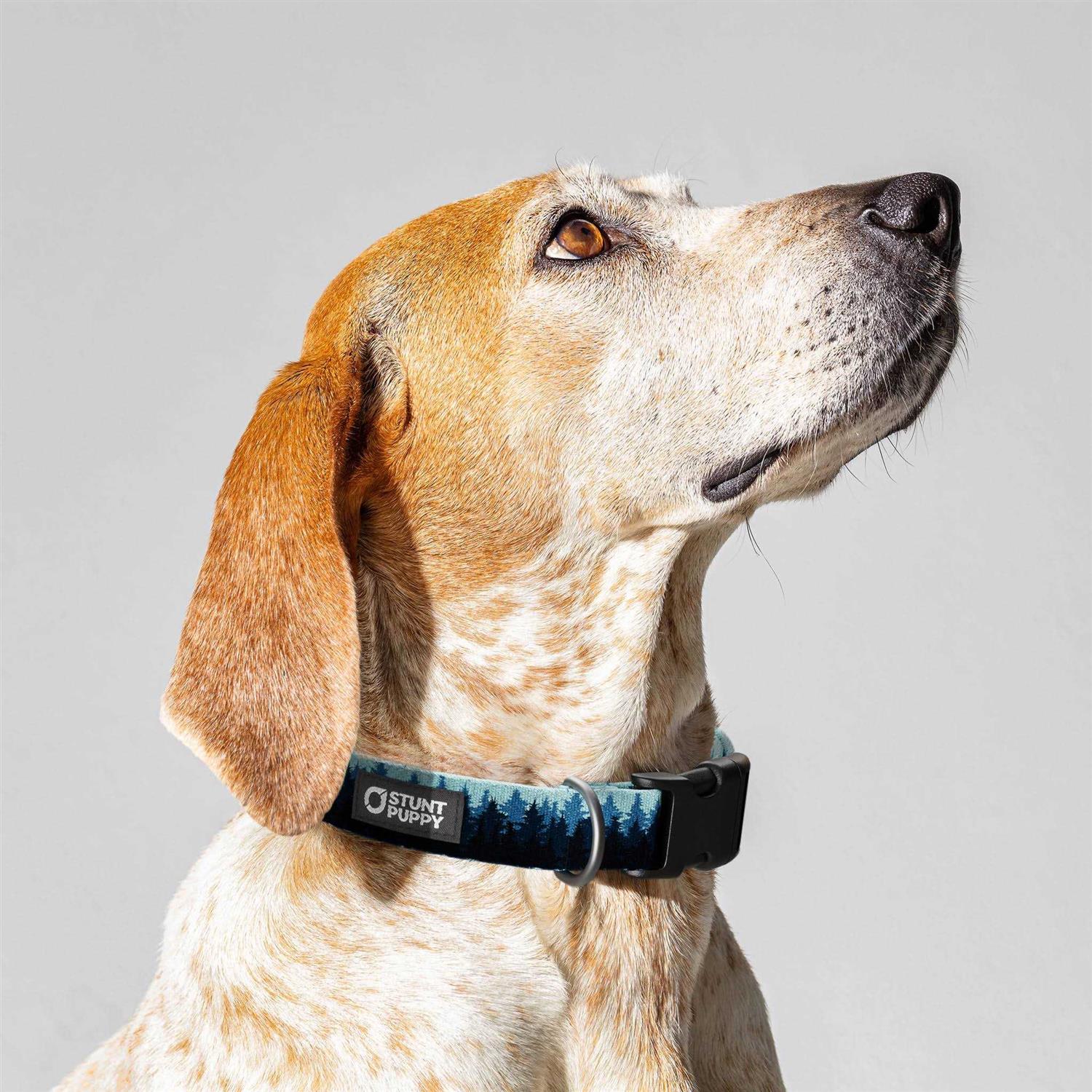 Alternative view of Stunt Puppy Pines Collar