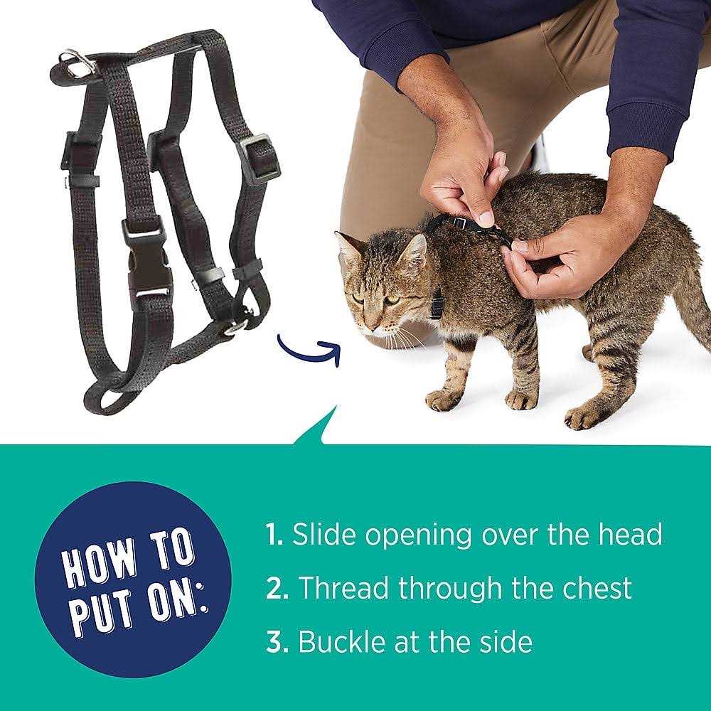 Alternative view of Whisker City Cat Harness