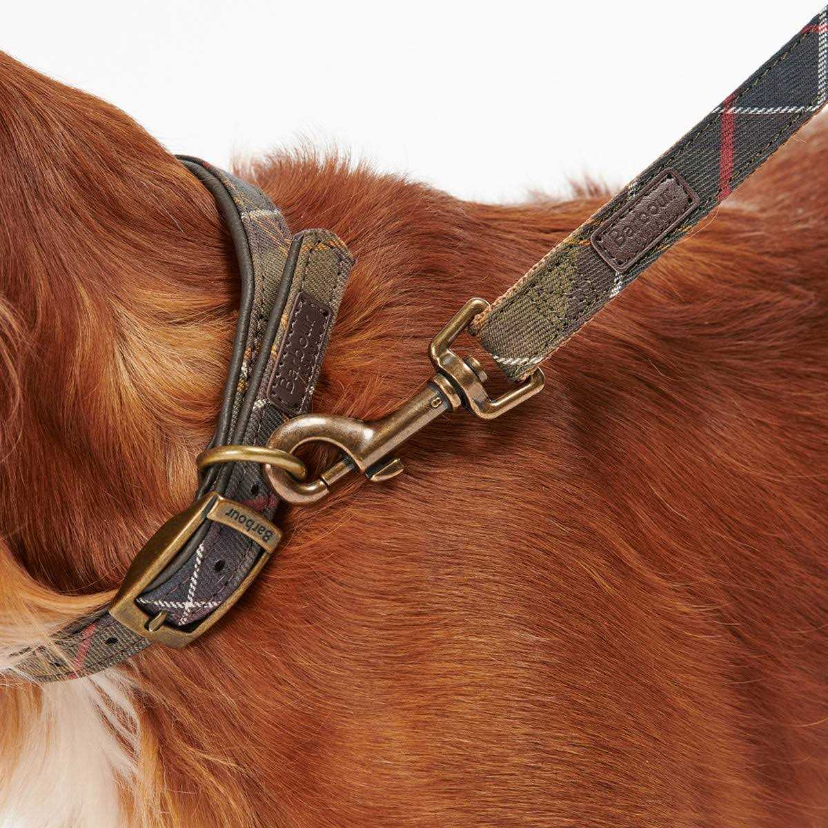 Alternative view of Barbour Tartan Webbing Collar