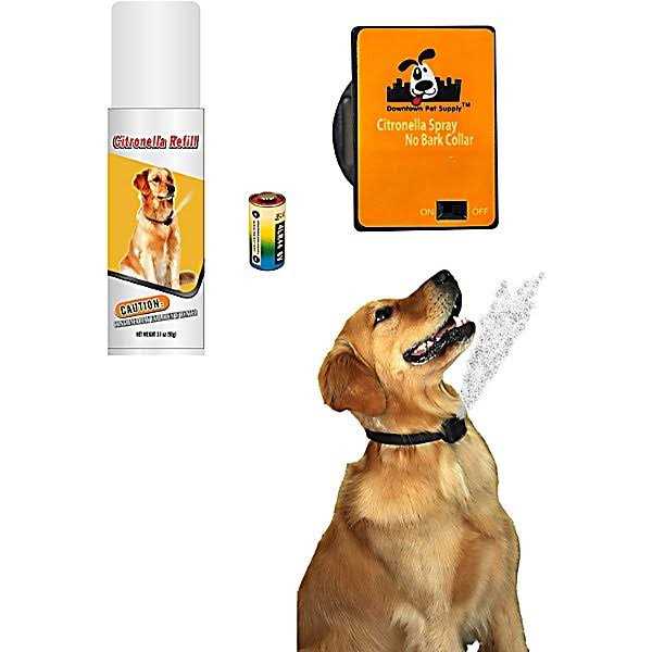 Downtown Pet Supply Citronella Bark Collar