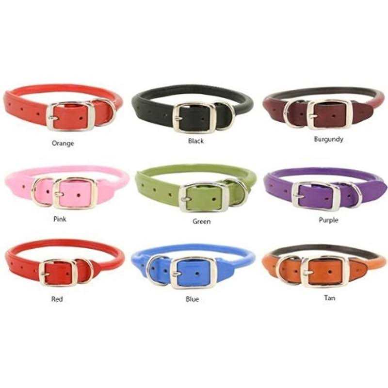 Alternative view of Auburn Leather Rolled Dog Collar
