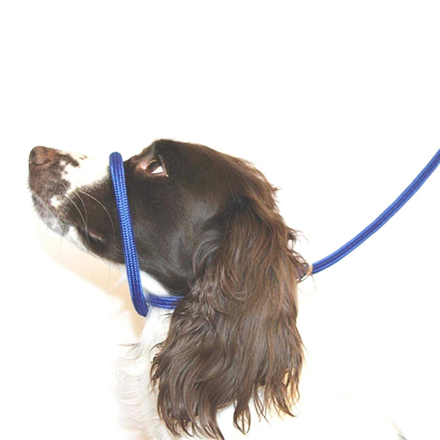 Dog & Field Figure 8 Anti Pull LeashHalterHead collar One Size Fits All