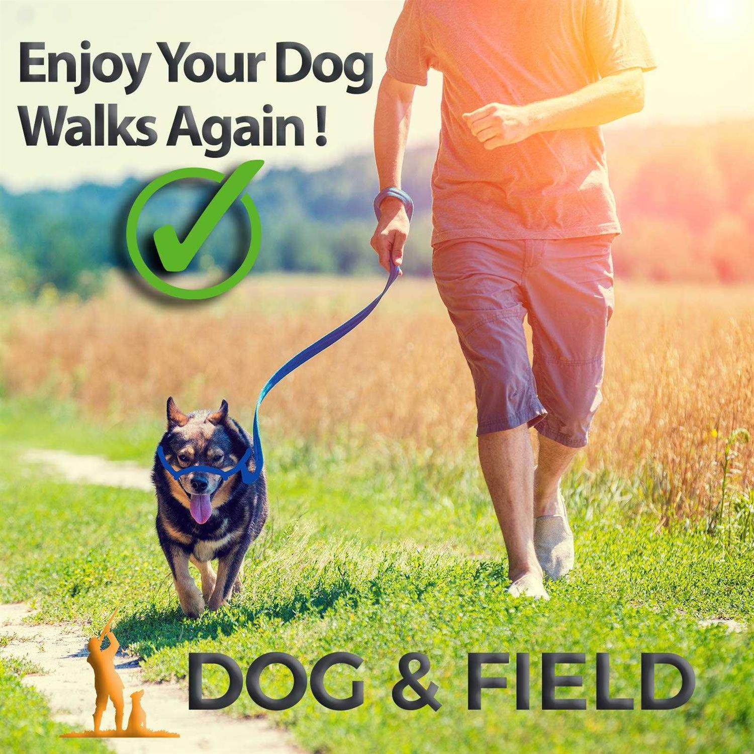 Alternative view of Dog & Field Figure 8 Anti Pull LeashHalterHead collar One Size Fits All
