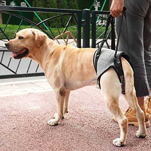 Alternative view of Dotoner Dog Sling for Large Dogs Hind Leg Support to Help Rehabilitate The Hind Limbs of Elderly Dogs with Weak Hind Legs Disabilities and Injuries